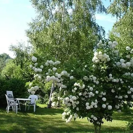 Ruegen-fewo 1380 דירה *