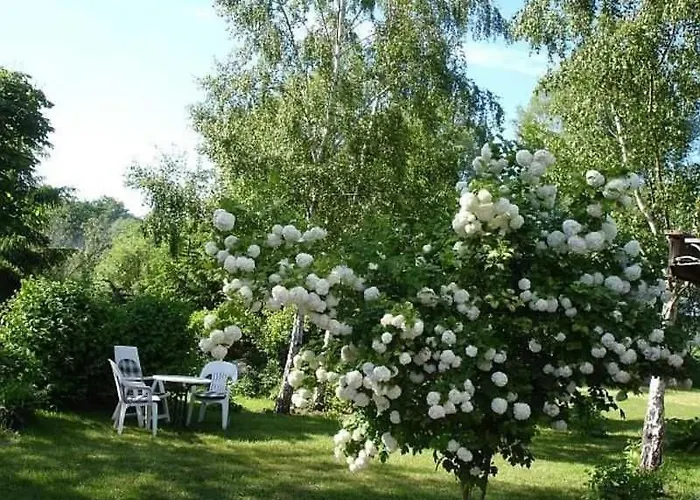 Ruegen-fewo 1380 Appartement *